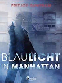 Blaulicht in Manhattan - Fritjof Guntram - E-Book
