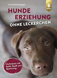 Hundeerziehung ohne Leckerchen - Christiane Schnepper - E-Book
