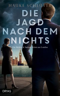 Die Jagd nach dem Nichts - Hauke Schlüter - E-Book