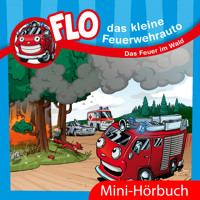 Das Feuer im Wald - Christian Mörken - Hörbuch