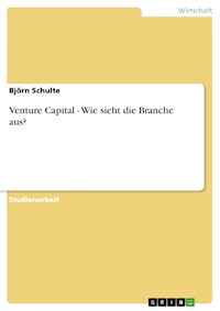 Venture Capital - Wie sieht die Branche aus? - Björn Schulte - E-Book