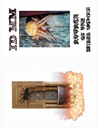 ATTACK OF THE SPIDER WOMAN - Maik Mueller - E-Book