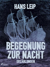Begegnung zur Nacht - Hans Leip - E-Book