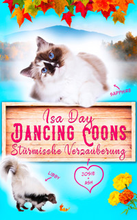 Stürmische Verzauberung - Eine Heimat für das Herz in Dancing Coons - Band 1 der Dancing-Coons-Reihe - Isa Day - E-Book