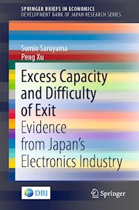 Excess Capacity and Difficulty of Exit - Sumio Saruyama - E-Book