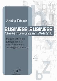 Business-to-Business Markenführung im Web 2.0 - Annika Pötter - E-Book