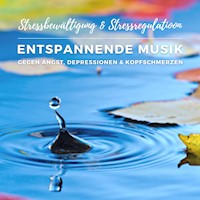 Stressbewältigung & Stressregulation: Entspannende Musik gegen Angst, Depressionen und Kopfschmerzen - Stressmanagement Coaching - Hörbuch