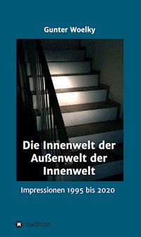 Die Innenwelt der Außenwelt der Innenwelt - Gunter Woelky - E-Book