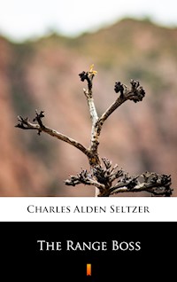 The Range Boss - Charles Alden Seltzer - E-Book