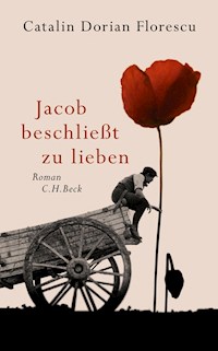 Jacob beschließt zu lieben - Catalin Dorian Florescu - E-Book