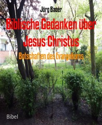 Botschaften des Evangeliums - Jörg Bauer - kostenlos E-Book