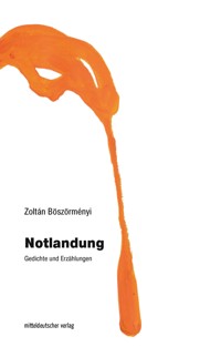 Notlandung - Zoltán Böszörményi - E-Book
