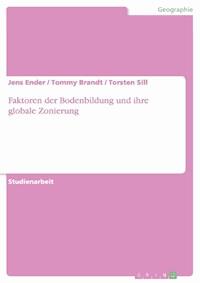 Faktoren der Bodenbildung und ihre globale Zonierung - Jens Ender - E-Book