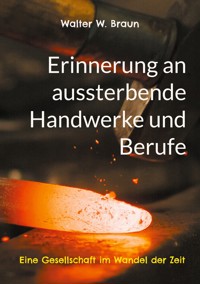 Erinnerung an aussterbende Handwerke und Berufe - Walter W. Braun - E-Book