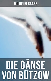 Die Gänse von Bützow - Wilhelm Raabe - E-Book