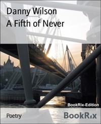 A Fifth of Never - Danny Wilson - E-Book