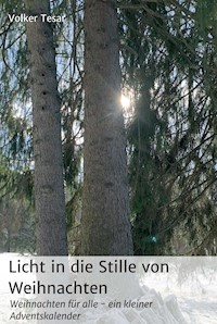 Licht in die Stille von Weihnachten - Volker Tesar - E-Book