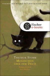 Mondschein über dem Deich - Theodor Storm - E-Book