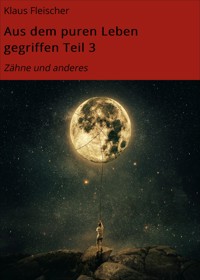 Aus dem puren Leben gegriffen Teil 3 - Klaus Fleischer - E-Book