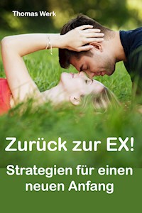 Zurück zur Ex - Thomas Werk - E-Book