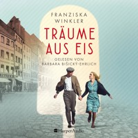 Träume aus Eis (ungekürzt) - Franziska Winkler - Hörbuch