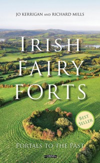 Irish Fairy Forts - Jo Kerrigan - E-Book