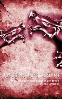 Drachenfeuerjagd. Zwischen den Zeiten - Johanna Schließer - E-Book