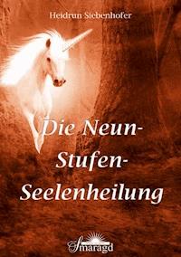 Die Neun-Stufen-Seelenheilung - Heidrun Siebenhofer - E-Book