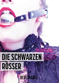 Die schwarzen Rösser - Folge 2 - Jürgen Bruno Greulich - E-Book