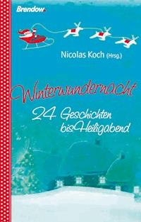 Winterwundernacht -  - E-Book