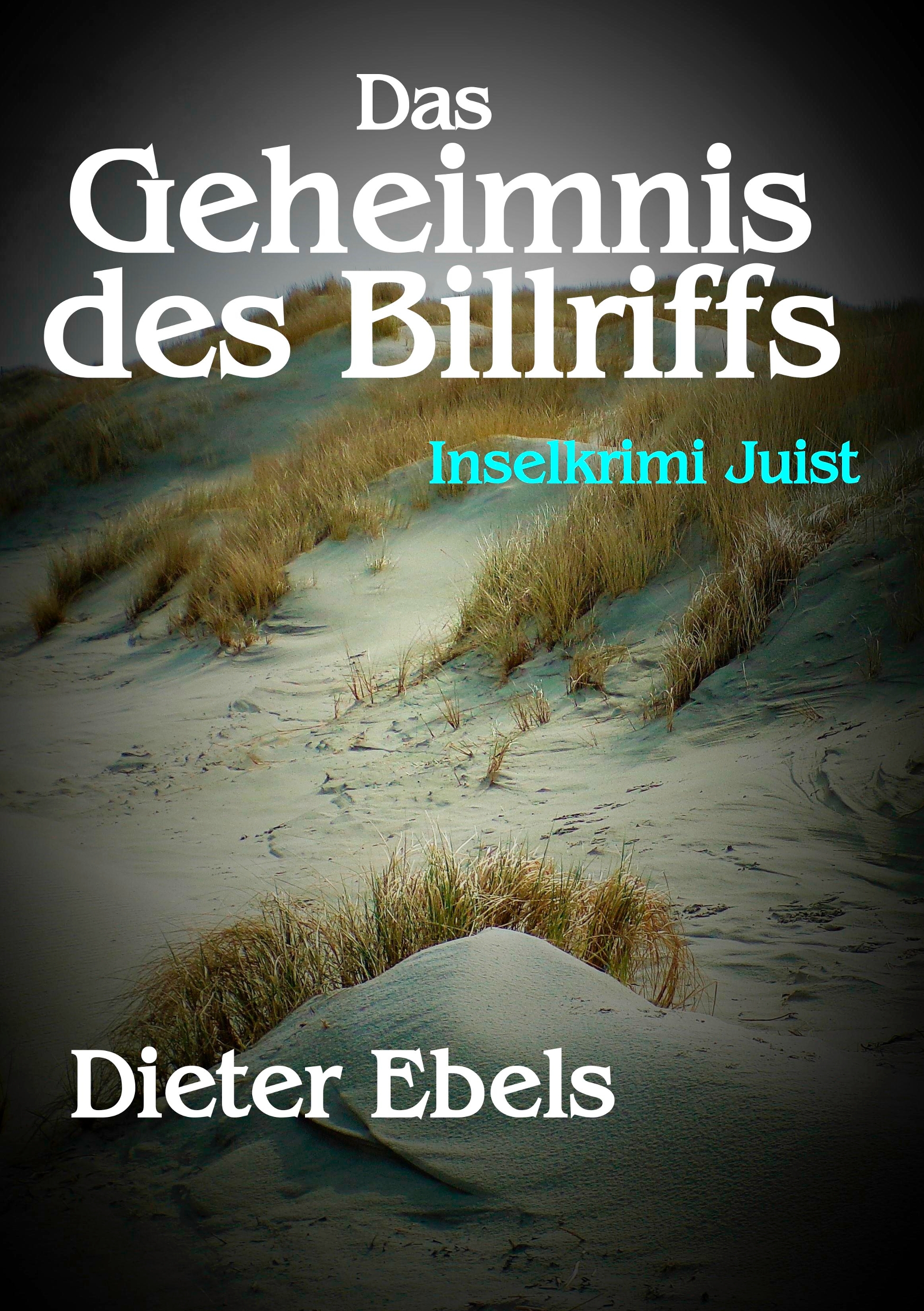 Das Geheimnis des Billriffs - Dieter Ebels - E-Book