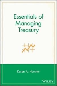 Essentials of Managing Treasury - Karen A. Horcher - E-Book