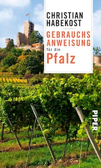 Gebrauchsanweisung für die Pfalz - Christian Habekost - E-Book