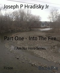Part One - Into The Fire - Joseph P Hradisky Jr - E-Book
