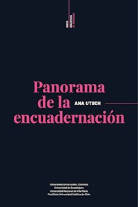 Panoramas de la encuadernación - Ana Utsch - E-Book