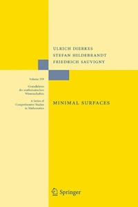 Minimal Surfaces - Ulrich Dierkes - E-Book