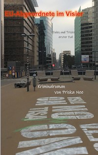 EU-Abgeordnete im Visier - Priska Nee - E-Book