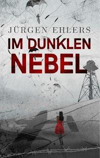 Im dunklen Nebel - Jurgen Ehlers - E-Book