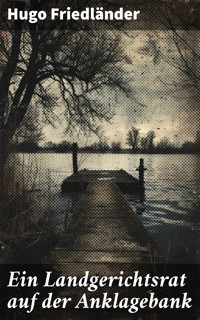 Ein Landgerichtsrat auf der Anklagebank - Hugo Friedländer - E-Book