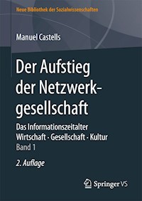 Der Aufstieg der Netzwerkgesellschaft - Manuel Castells - E-Book