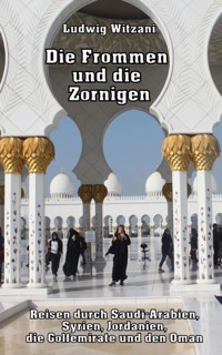 Die Frommen und die Zornigen - Ludwig Witzani - E-Book