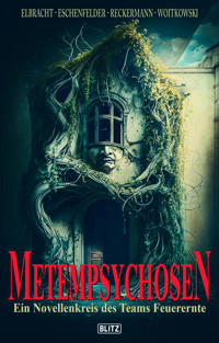Phantastische Storys 20: Metempsychosen - Ina Elbracht - E-Book