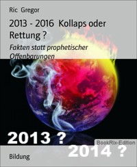 2013 - 2016  Kollaps oder Rettung ? - Ric Gregor - E-Book