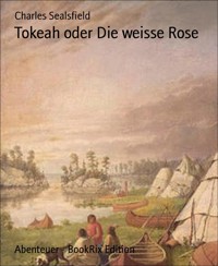 Tokeah oder Die weisse Rose - Charles Sealsfield - E-Book