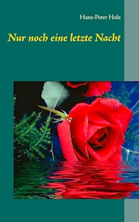Nur noch eine letzte Nacht - Hans-Peter Holz - E-Book