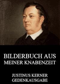 Bilderbuch aus meiner Knabenzeit - Justinus Kerner - E-Book