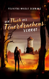 Der Fluch des Feuerdrachens 1 - Felicitas Nicole Schwarz - E-Book