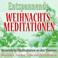 Entspannende und Besinnliche Weihnachts-Meditationen - zu den Themen: Wünschen, Frieden, Liebe und Zufriedenheit (Ungekürzt) - Torsten Abrolat - Hörbuch