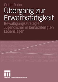 Übergang zur Erwerbstätigkeit - Peter Rahn - E-Book
