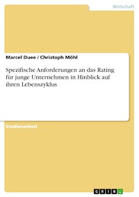 Spezifische Anforderungen an das Rating für junge Unternehmen in Hinblick auf ihren Lebenszyklus - Marcel Duee - E-Book